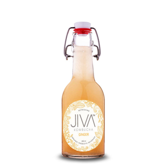 Jiva Kombucha Ginger 250ml | Harris Farm Online