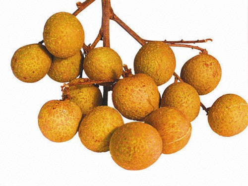 Longans (500g punnet) , S07H-Fruit - HFM, Harris Farm Markets

