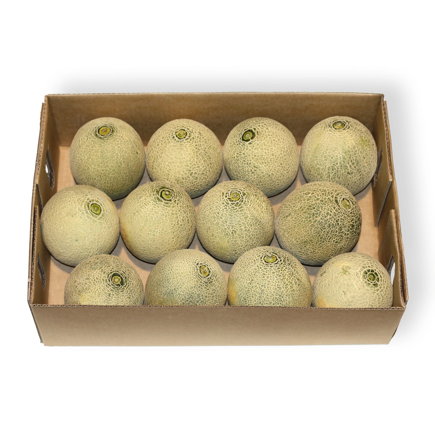 Rockmelon Small Box x11 Each