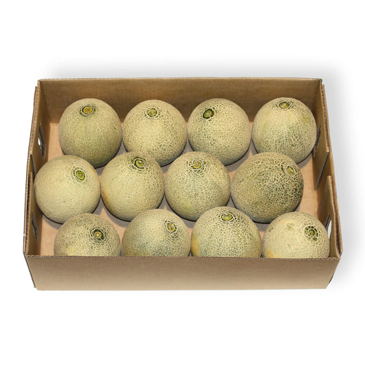 Rockmelon Small Box x11 Each