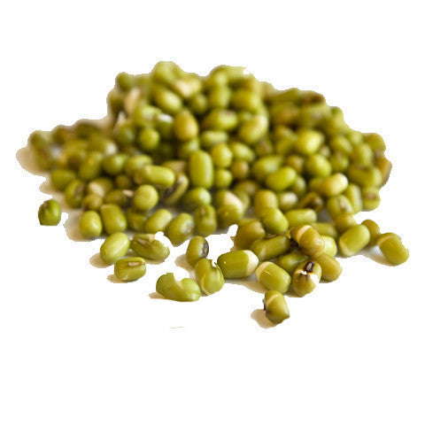 Mung Bean Sprouts Organic (200g punnet) , S09S-Veg - HFM, Harris Farm Markets

