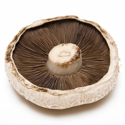Mushrooms Flat - Harris Farm Markets