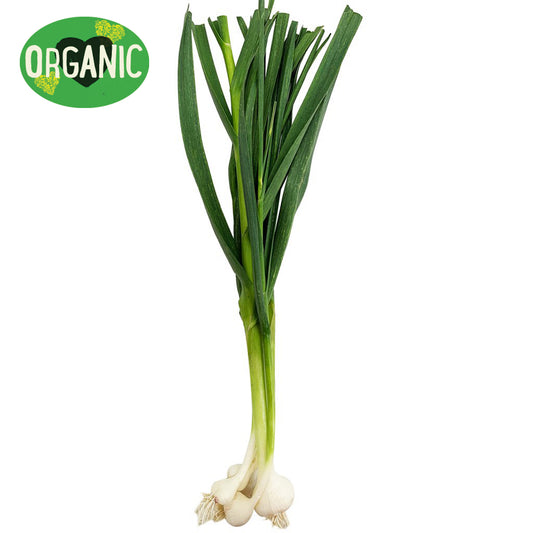 Garlic Organic (bunch)