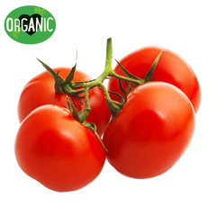 Truss Tomato Organic 500g Prepack