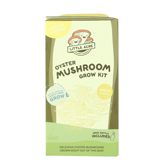Little Acre Oyster Mushroom Grow Kit Gold Variety Each