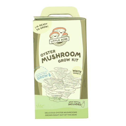 Little Acre Oyster Mushroom Grow Kit White Variety Each