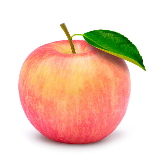 Apple Fuji Small Each | Harris Farm Online