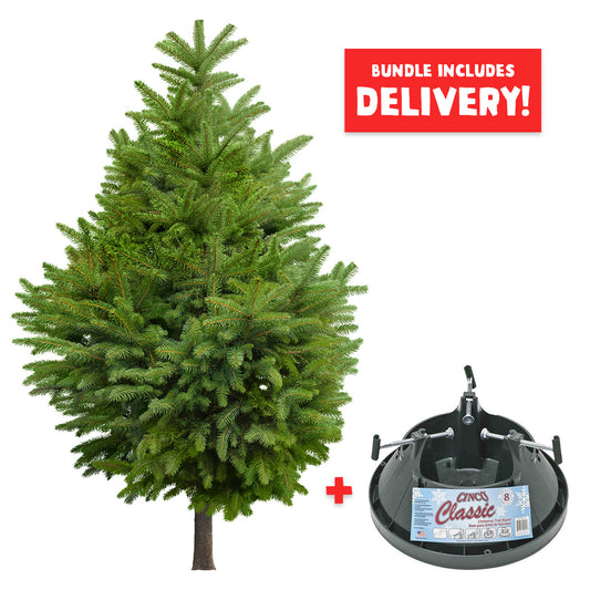 Christmas Tree Real Cut with Stand and Delivery