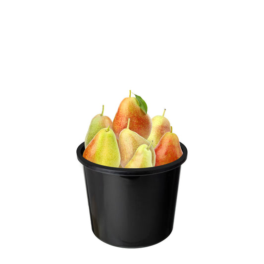 Pear Corella Value Bucket