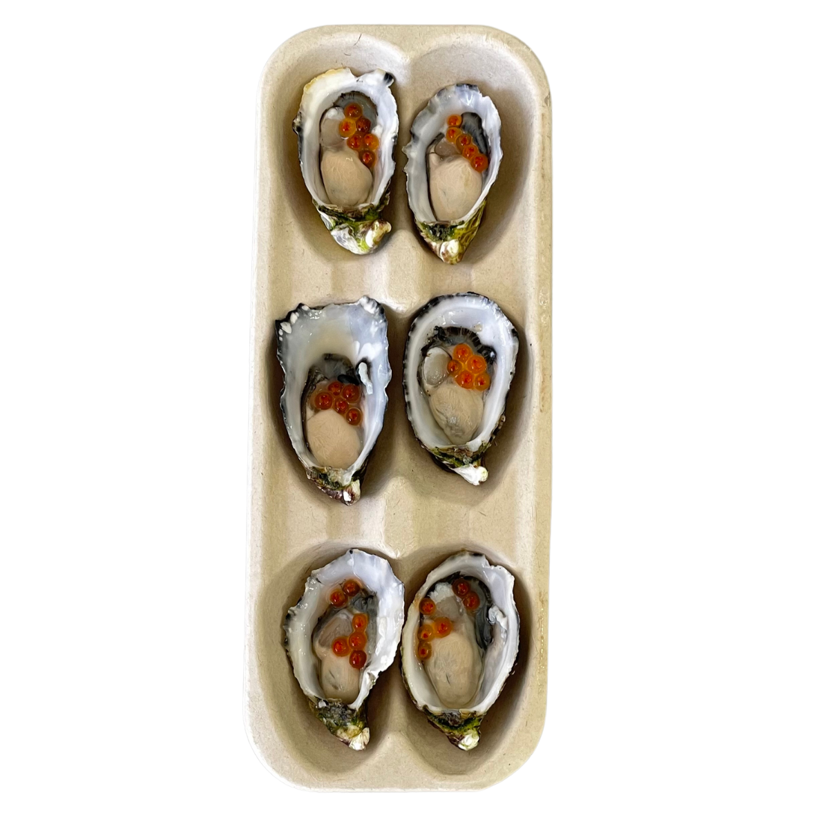 Fish in the Family Oysters Caviar x6
