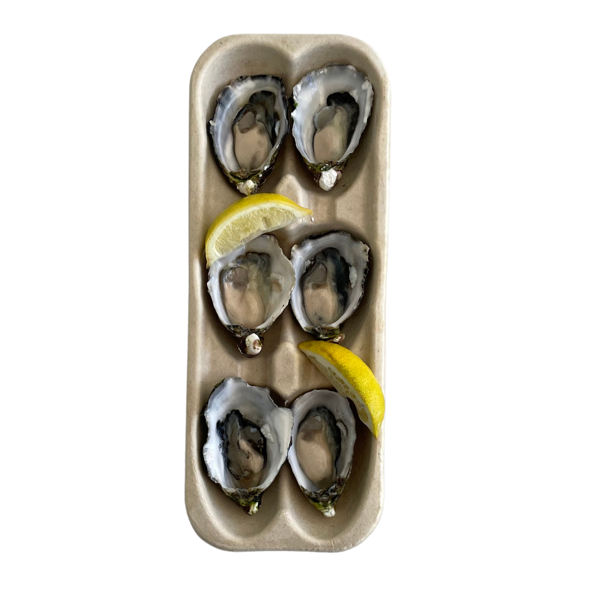 Fish in the Family Oysters Lemon