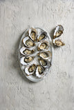 Fish in the Family Pacific Oysters Large 1 doz