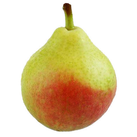 Pears Paradise (each) , S07H-Fruit - HFM, Harris Farm Markets
