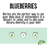 Blueberries Premium 125g