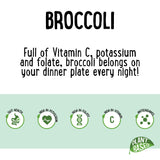 Broccoli Organic Head Each