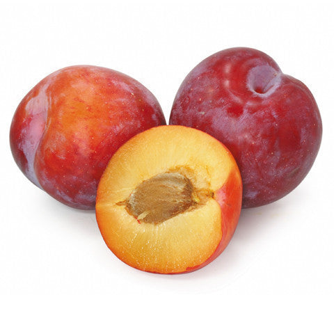 Plums Amber Jewel | Harris Farm Markets