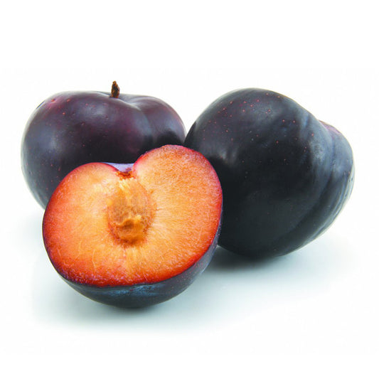 Plum Angelino | Harris Farm Online