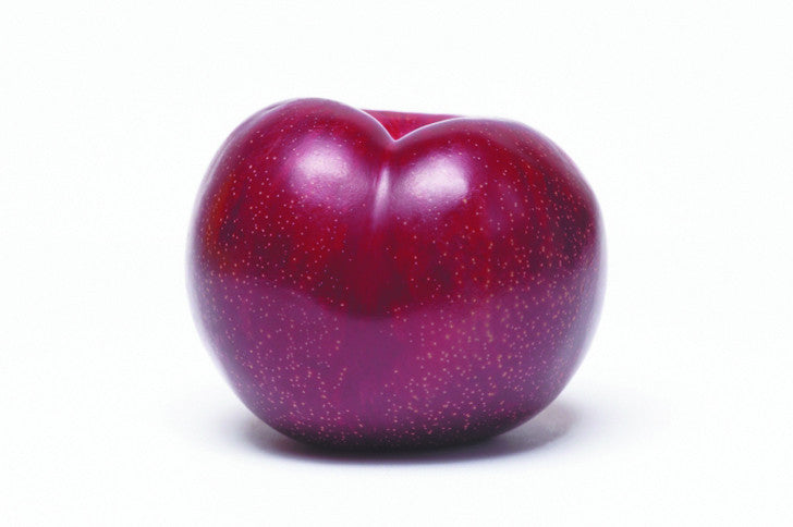 Plums Autumn Giant (tray 5kg) , Wholesale - HFM, Harris Farm Markets
