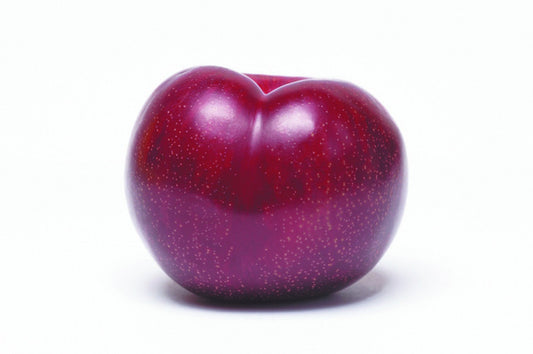 Plums Autumn Giant (tray 5kg) , Wholesale - HFM, Harris Farm Markets
