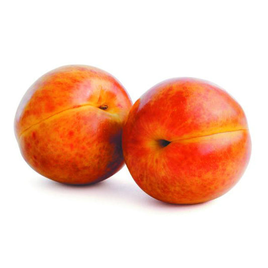 Plum October Sun Box 5-10kg