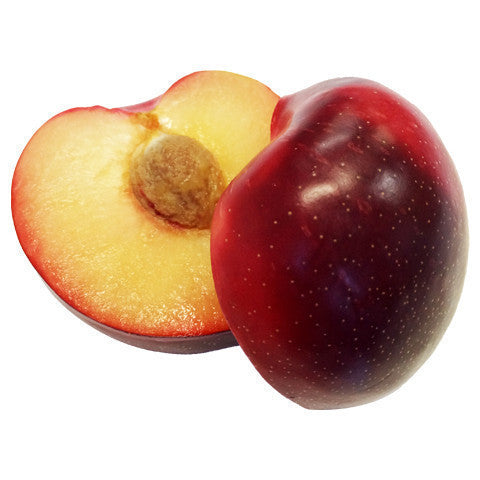 Plums September Candy (box 5kg) , Wholesale - HFM, Harris Farm Markets
