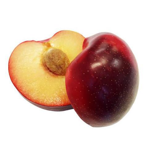 Plum Red Beaut Each