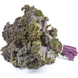 Kale Purple | Harris Farm Online