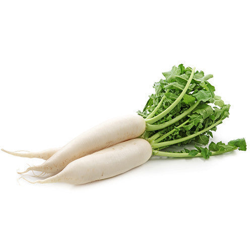 Radish White peeled CATERING (10kg Box) , Wholesale - HFM, Harris Farm Markets
