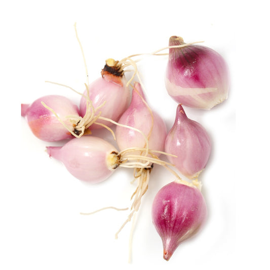 Shallots Red Peeled CATERING (bag 1kg) , Wholesale - HFM, Harris Farm Markets
