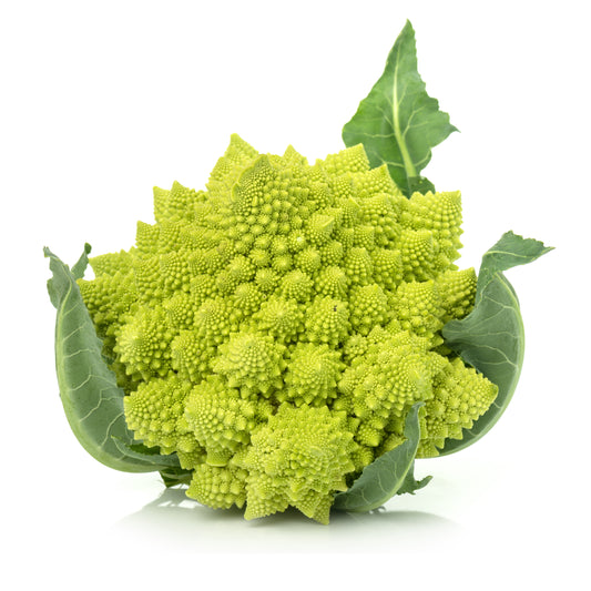Broccoli Roman head