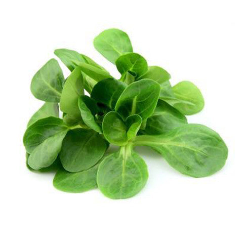  Salad Mache | Harris Farm Online