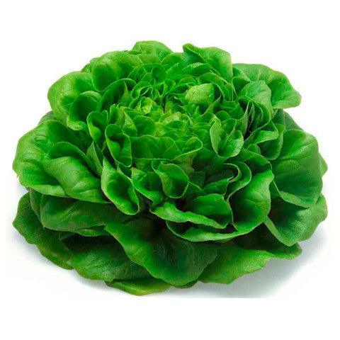 Salanova Baby Leaf Prepack (120g) , S13S-Veg - HFM, Harris Farm Markets
