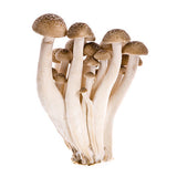 Mushrooms Shimeji |Harris Farm Online