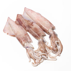 Fresh Loligo Squid Calamari | Harris Farm Online