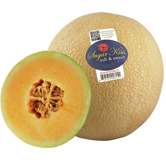 Melon Sugar Kiss Rockmelon