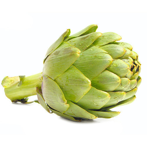 Artichoke Globe | Harris Farm Online