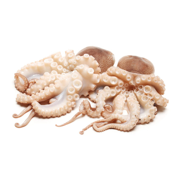 Fresh Tenderised Octopus Medium | Harris Farm Online