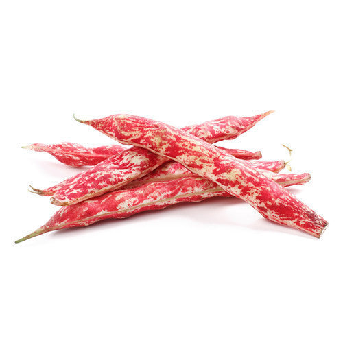 Beans Red (min 500g) , S03S-Veg - HFM, Harris Farm Markets
