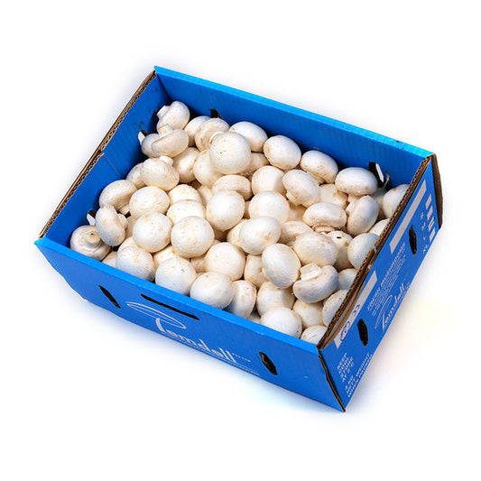 Mushrooms Button CATERING (box 4kg) , Wholesale - HFM, Harris Farm Markets
