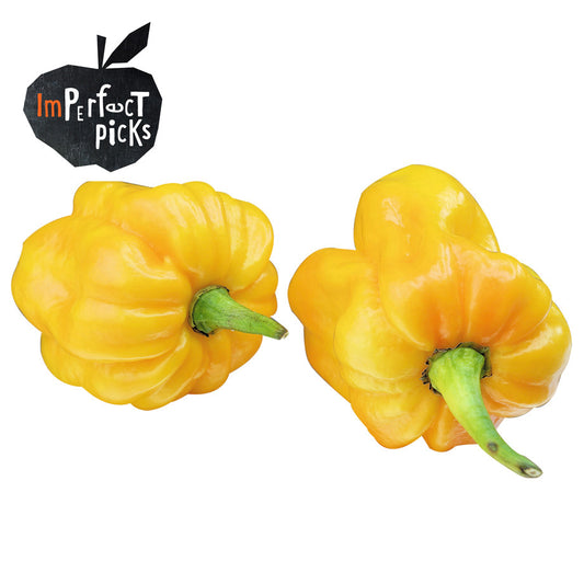 Capsicum Yellow Imperfect Pick Value Range (min 500g) , S04S-Veg - HFM, Harris Farm Markets

