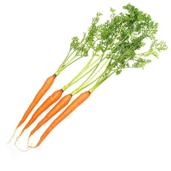Carrots Dutch | Harris Farm Online