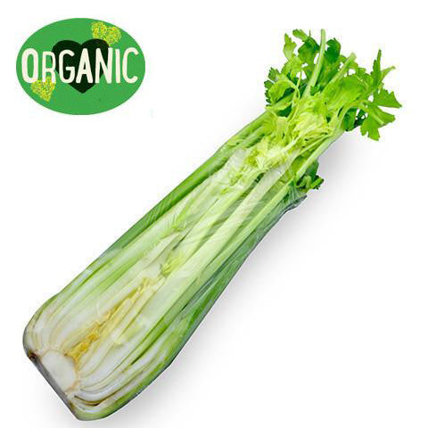Celery Organic | Harris Farm Online
