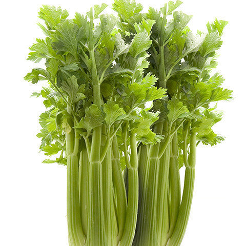 Celery (Box 10) , Whsl-Veg - HFM, Harris Farm Markets
