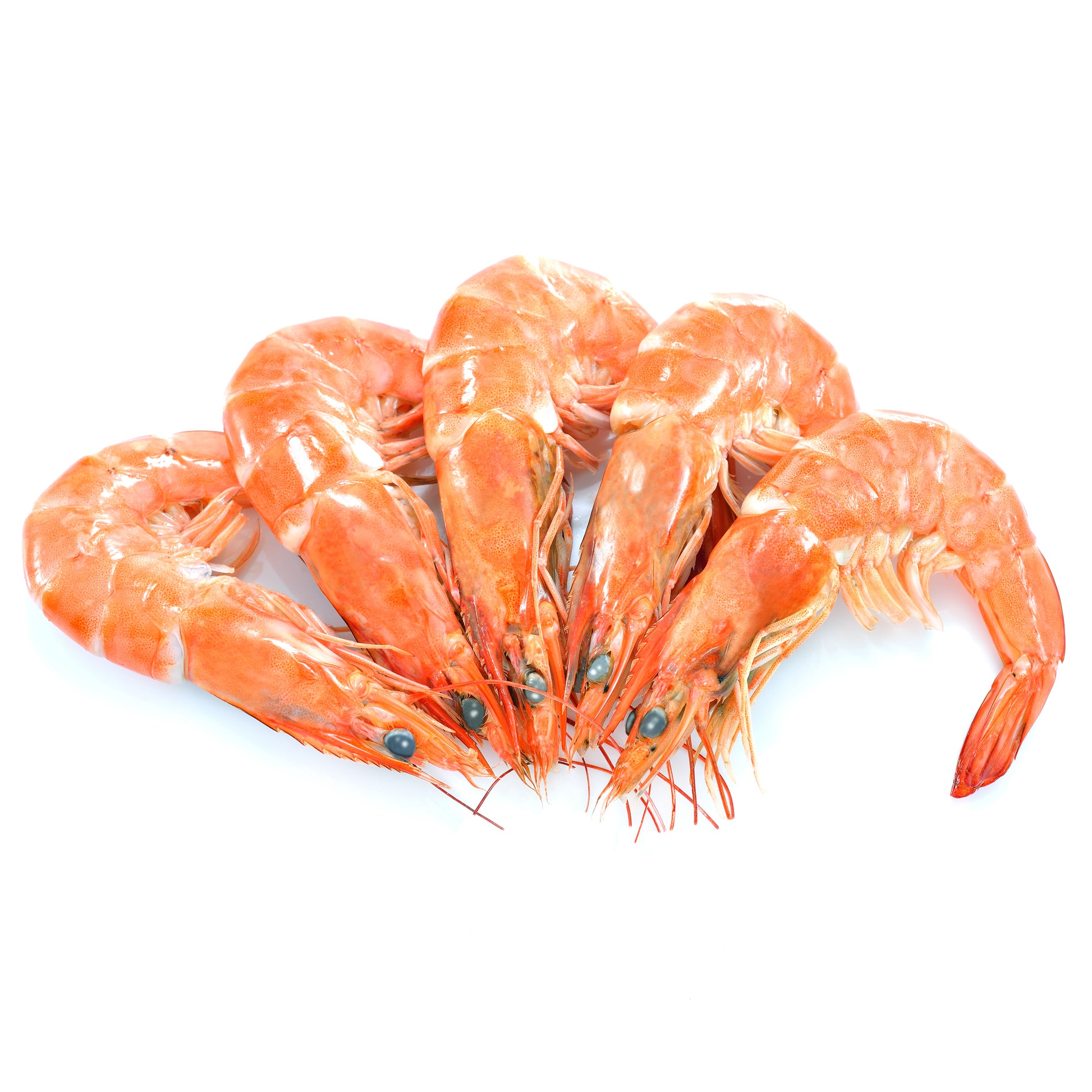 Vannamei Prawns Large Cooked | Harris Farm Online