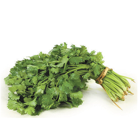 Coriander Chopped CATERING (Bag 1kg) , Wholesale - HFM, Harris Farm Markets
