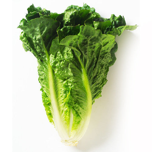 Fresh Lettuce Cos | Harris Farm Online