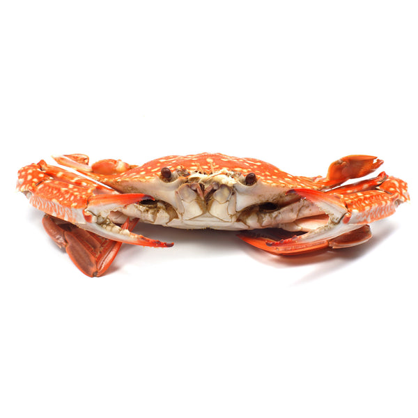 Fresh Blue Swimmer Crab Cooked | Harris Farm Online