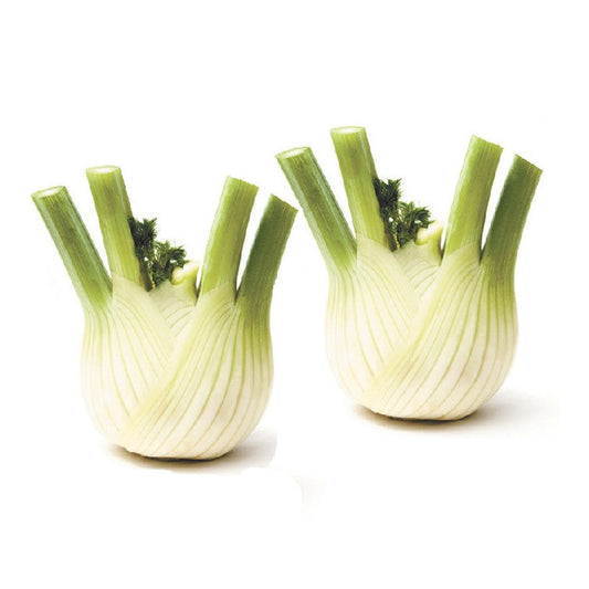 Fennel Baby (each) , S03H-Veg - HFM, Harris Farm Markets
