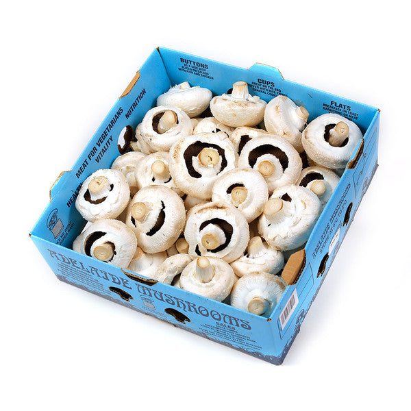 Mushrooms Flat CATERING (box 4kg) , Wholesale - HFM, Harris Farm Markets
