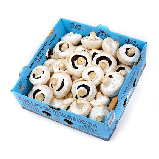 Mushrooms Flat CATERING (box 4kg) , Wholesale - HFM, Harris Farm Markets
